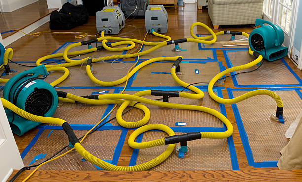 Professional Crawl Space Water Removal technician working in Jamestown, NC